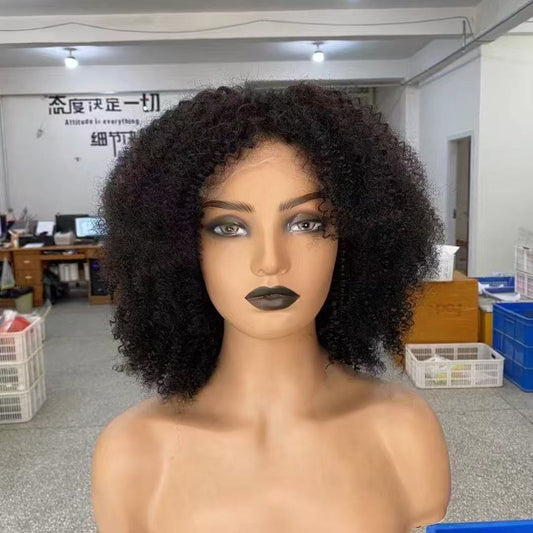 Afro Curly Brazilian Short Hair Frontal Lace Human Hair Wig 14inch for Women