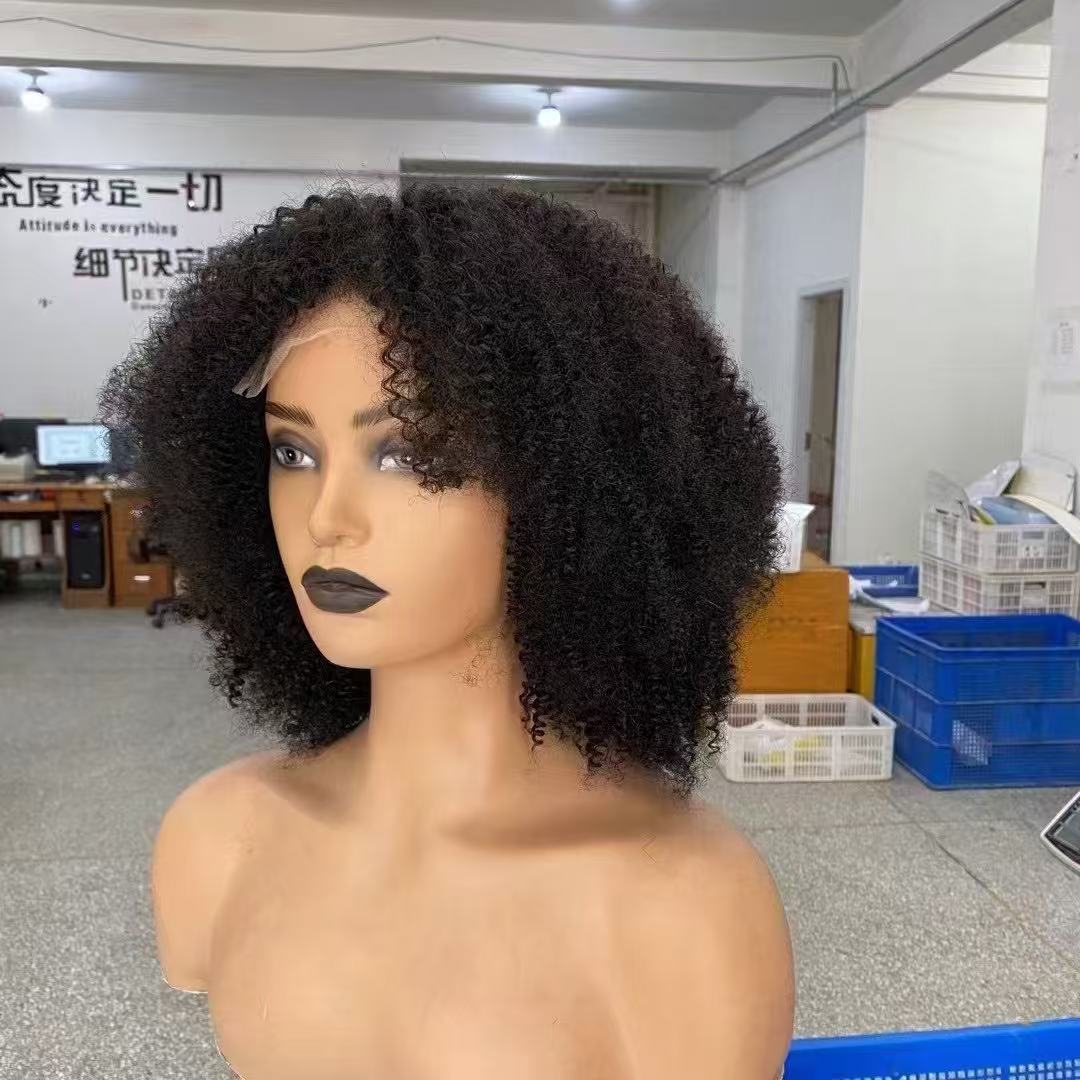 Afro Curly Brazilian Short Hair Frontal Lace Human Hair Wig 14inch for Women