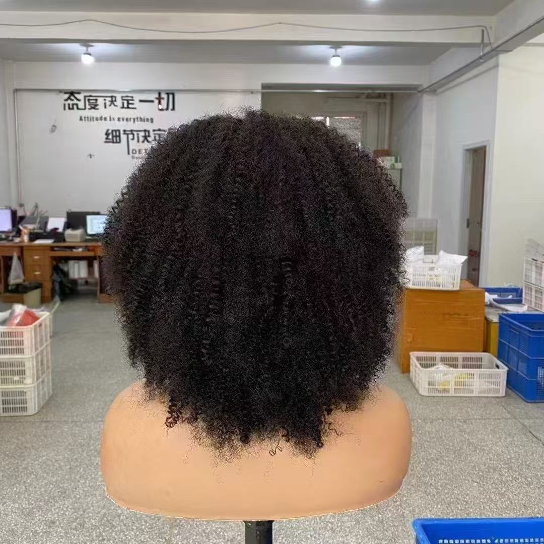 Afro Curly Brazilian Short Hair Frontal Lace Human Hair Wig 14inch for Women