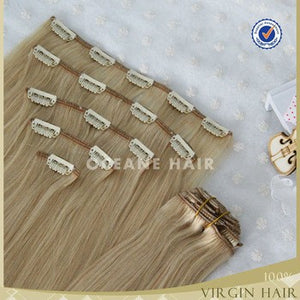 OCEANE HAIR 100% Russian Human Remy Hair Clip ins Wholesale Invisible Clip in Hair Extension